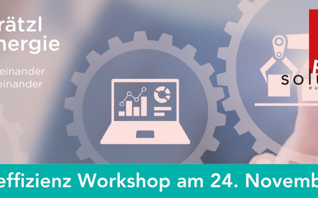 Energieeffizienz Workshop